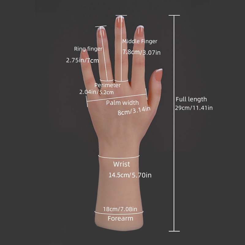 Realistic Silicone Replica of  - Art Craft Display review and price